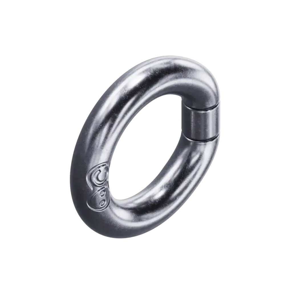 Silver Carabiner (Small)